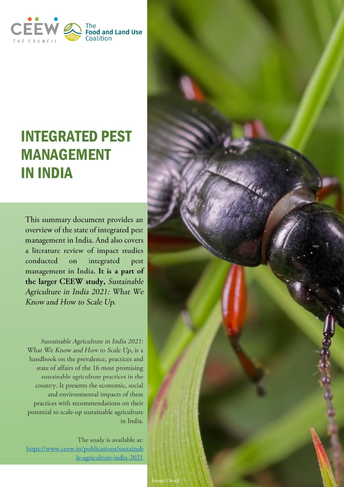 research paper on pest management